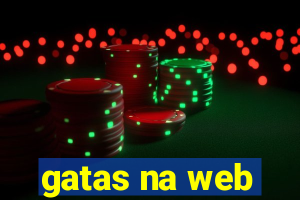 gatas na web